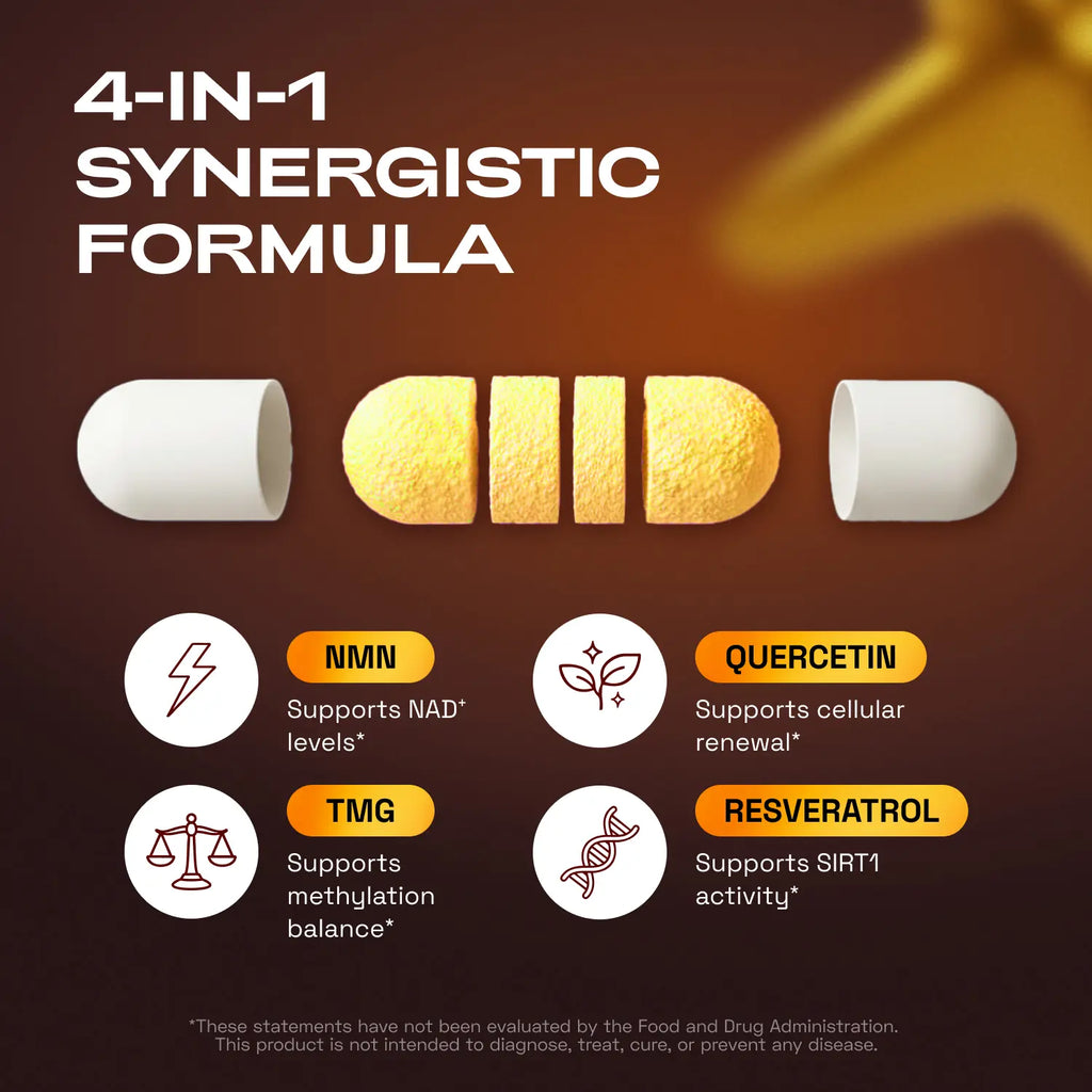 Cata-Kor NMN Supplement – 1000 Mg | Quercetin | TMG | Supports Cellular Energy & NAD+ Levels 